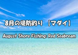 8月の堤防釣り 【マダイ】August Shore Fishing: Red Seabream