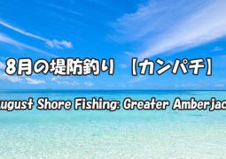 8月の堤防釣り 【カンパチ】　August Shore Fishing: Greater Amberjack