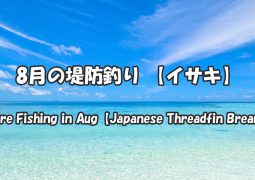 8月の堤防釣り 【イサキ】Shore Fishing in Aug【Japanese Threadfin Bream】